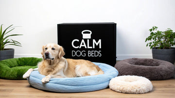 7 Best Anxiety Beds for Dogs in 2025: Vet-Approved Picks - Flufer Store