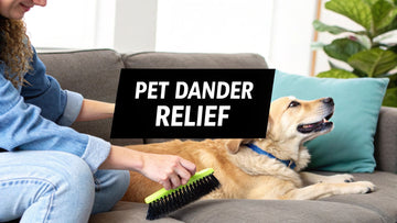 Pet Dander Allergy Relief That Actually Works
