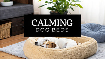 Finding the Best Calming Dog Beds for Anxious Pups