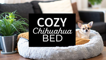 Choosing the Best Dog Bed for Chihuahua