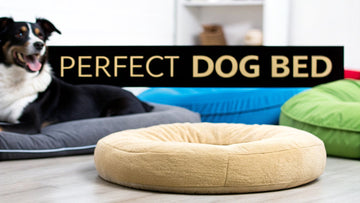How to Choose a Dog Bed for Your Best Friend