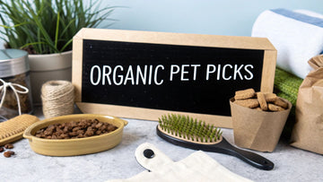 7 Best Organic Pet Supplies for a Healthy Pet in 2025