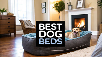 Best Dog Beds for Large Breed Dogs