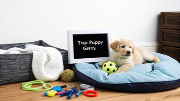 Top Gifts for New Puppy: Essential Keepsakes & Toys