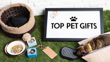 7 Best Gifts for Pet Owners in 2025: A Thoughtful Roundup