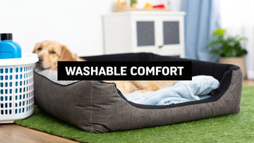 Top Tips for Choosing a Washable Pet Bed