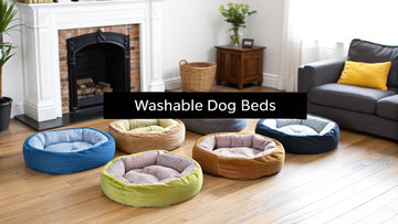 7 Best Washable Dog Beds for a Cleaner Home in 2025