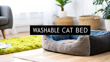 Finding the Best Washable Cat Bed for Your Feline