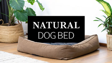Best Natural Dog Bed for Comfort & Eco-Friendly Support
