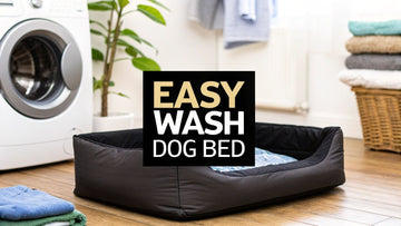 7 Best Dog Bed Easy Wash Options for a Cleaner Home in 2025