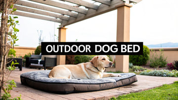Choosing the Best Dog Bed for Outside