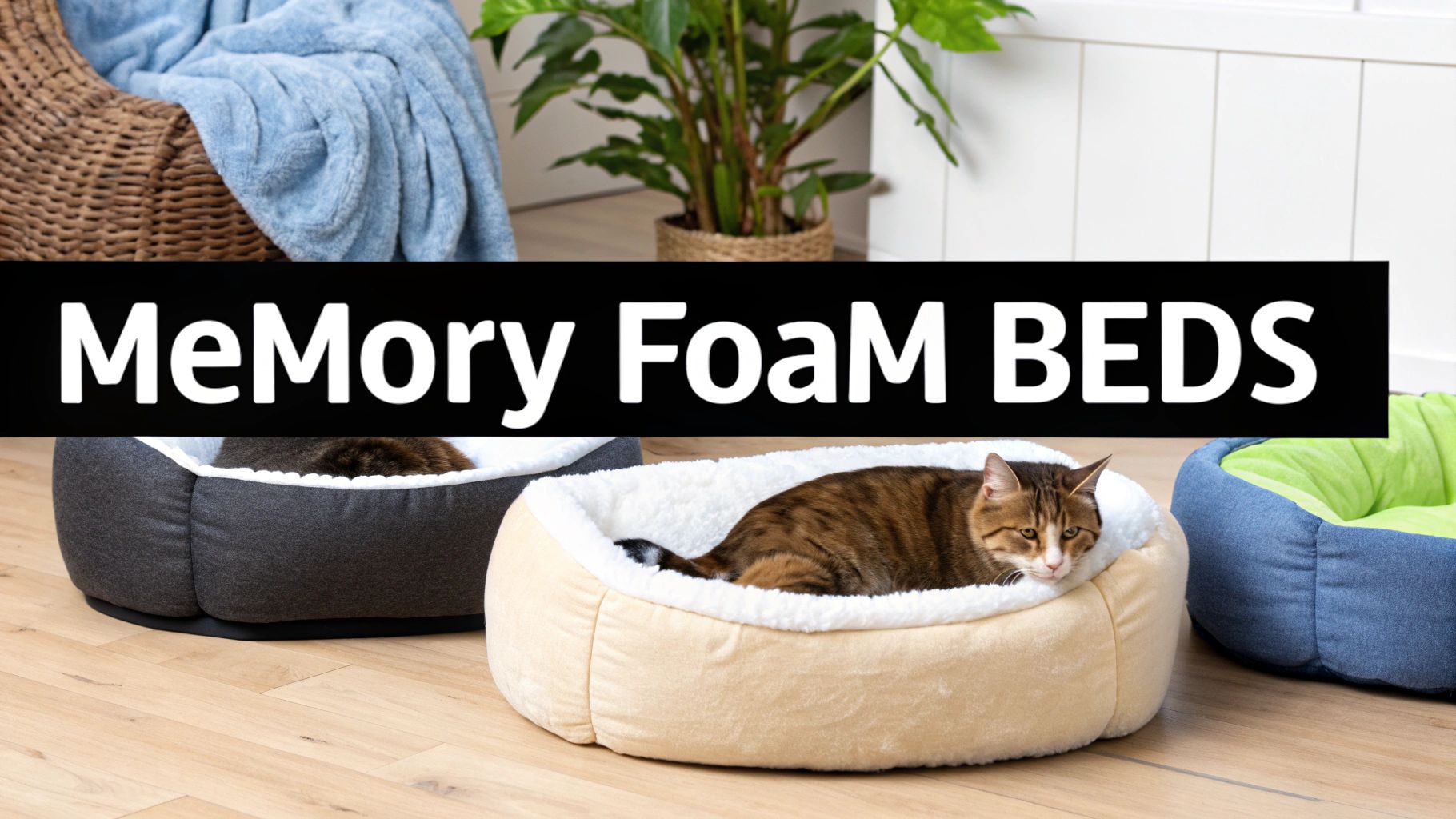 Top Memory Foam Cat Beds for Comfort & Support in 2025