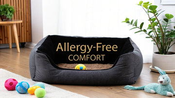 7 Best Hypoallergenic Pet Bed Options for 2025