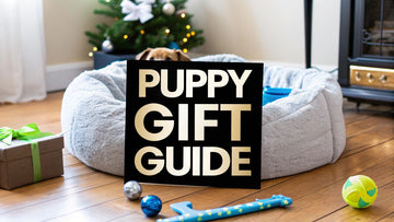 Top 7 New Puppy Gift Ideas for a Calm, Happy Home (2025)