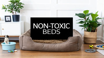 Top 7 Non Toxic Dog Beds for 2025 | Safe & Comfortable Choices