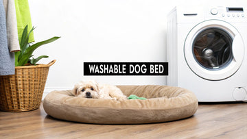 A Guide to Dog Bed Machine Washable Options