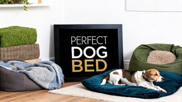 How to Choose Dog Bed: Tips for a Comfortable Pup Spot