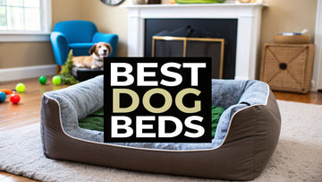 Top 10 Best Dog Beds for Arthritis in 2024