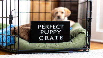 Your Guide to the Perfect Puppy Bed Crate