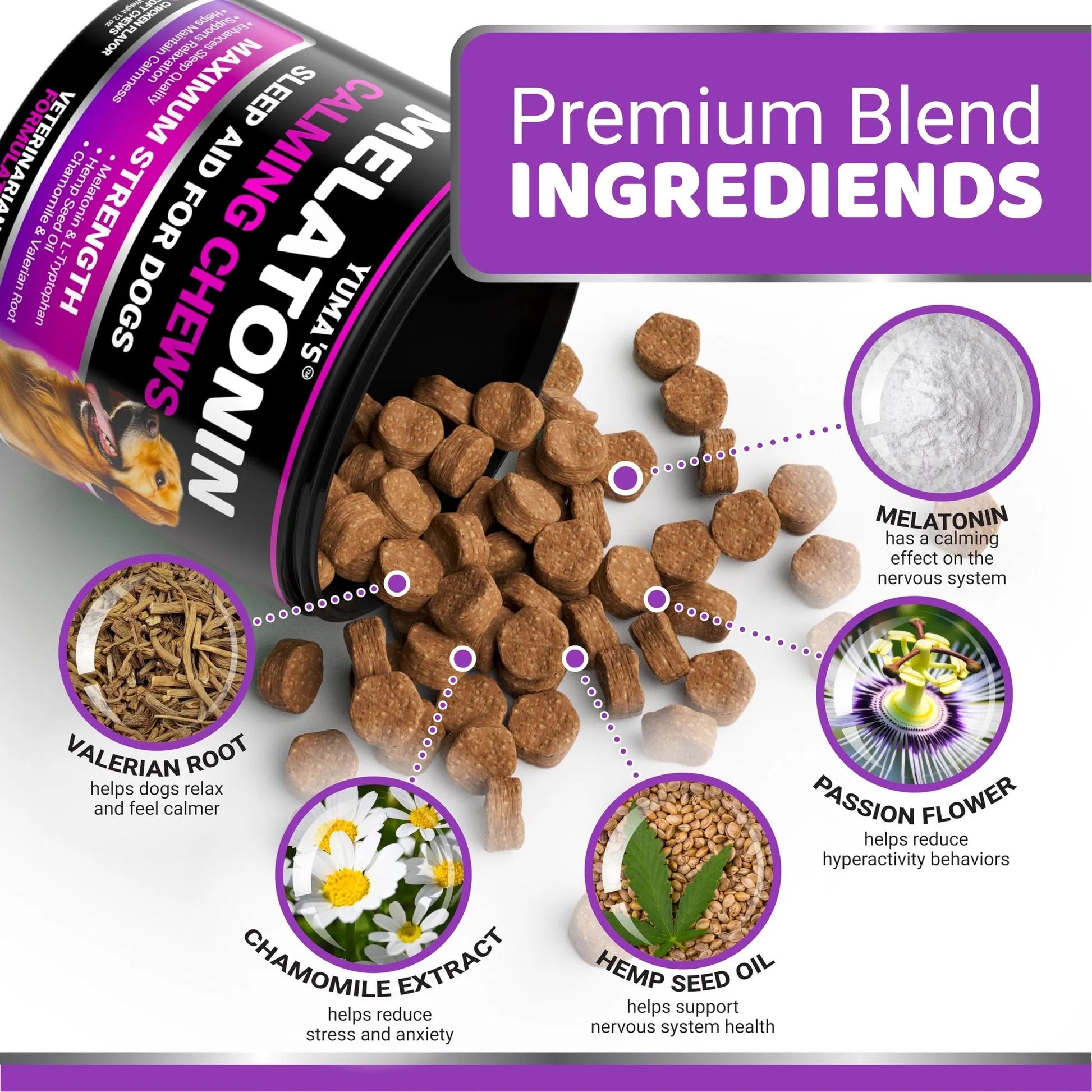 Do Not Sell On Amazon Melatonin Calming Chews For Dogs 170 Chews Dog Stress And Anxiety Relief - Flufer Store