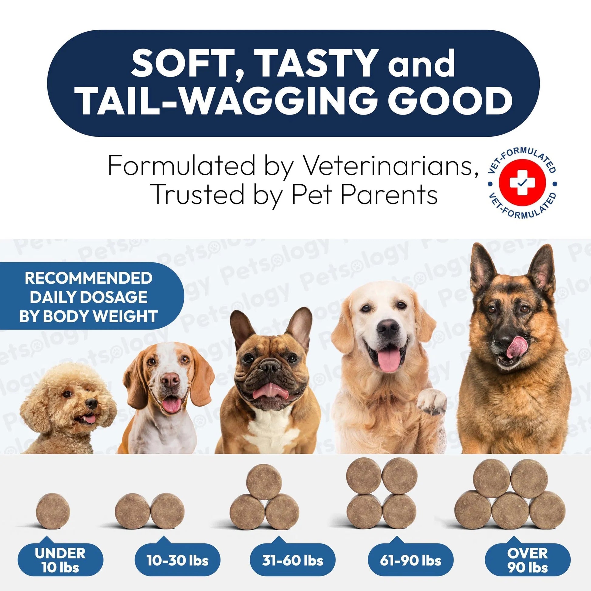 Probiotics for Dogs – 170 Soft Chews with Digestive Enzymes, Prebiotics & Yeast Support for Gut Health, Diarrhea, Gas, Constipation, Allergies & Itchy Skin Relief - Flufer Store
