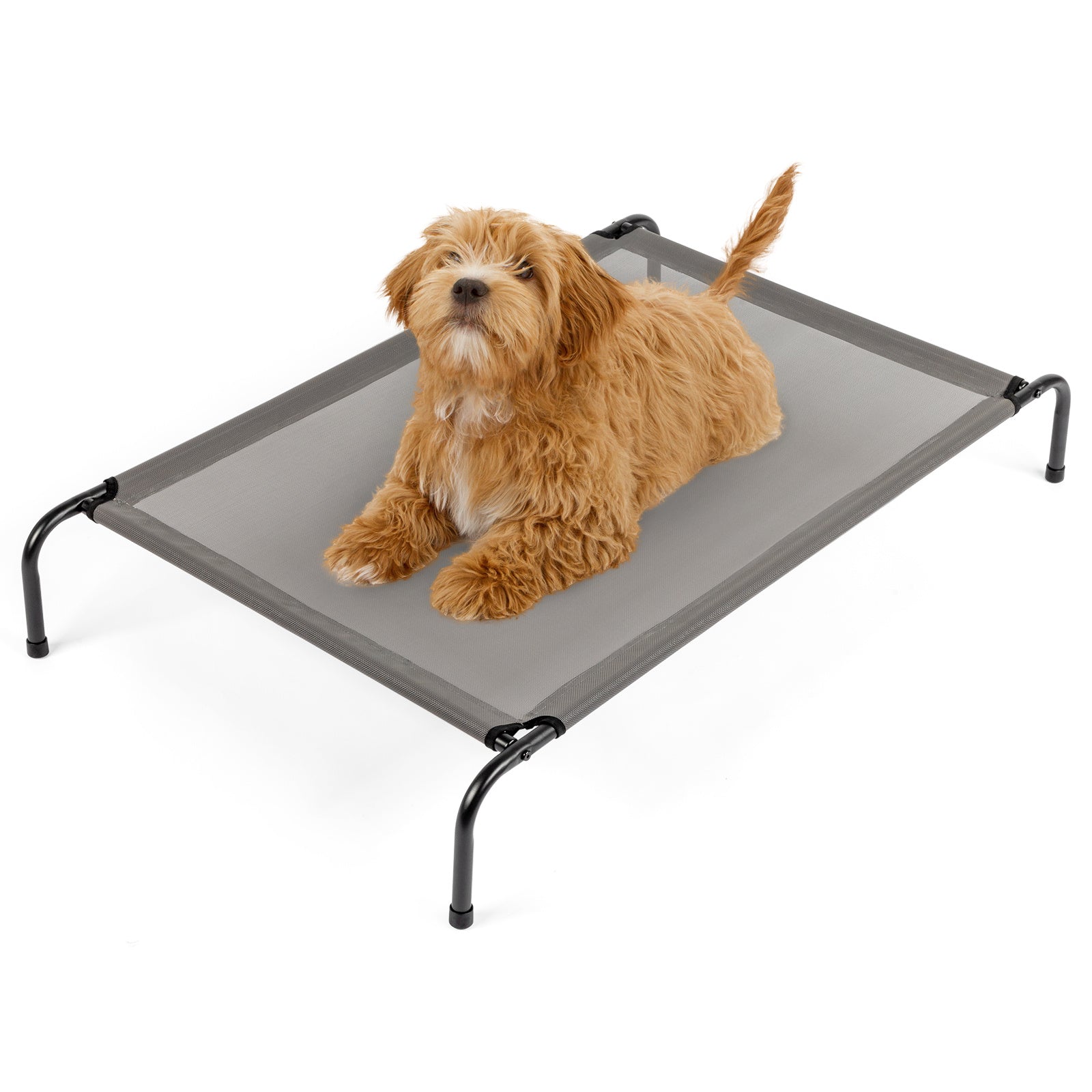Elevated Dog Bed – Comfortable Pet Cot Raises Dogs 8” Off the Ground to Stay Cool, Dry & Clean Outdoors - Flufer Store