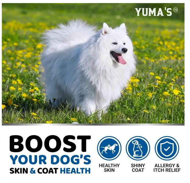 Omega 3 Fish Oil For Dogs 170 Chews Skin And Coat Supplement Omega 3 For Dogs Dry - Flufer Store