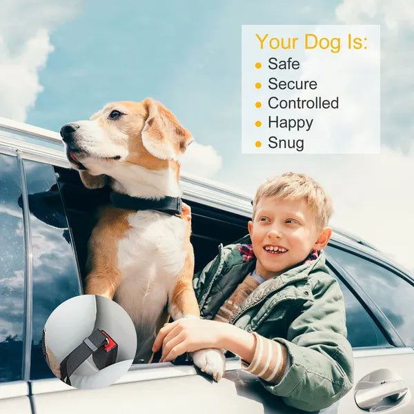 2Pcs Pet Dog Seat Belt Leash Adjustable Pet Dog Cat Safety Leads Harness - Flufer Store