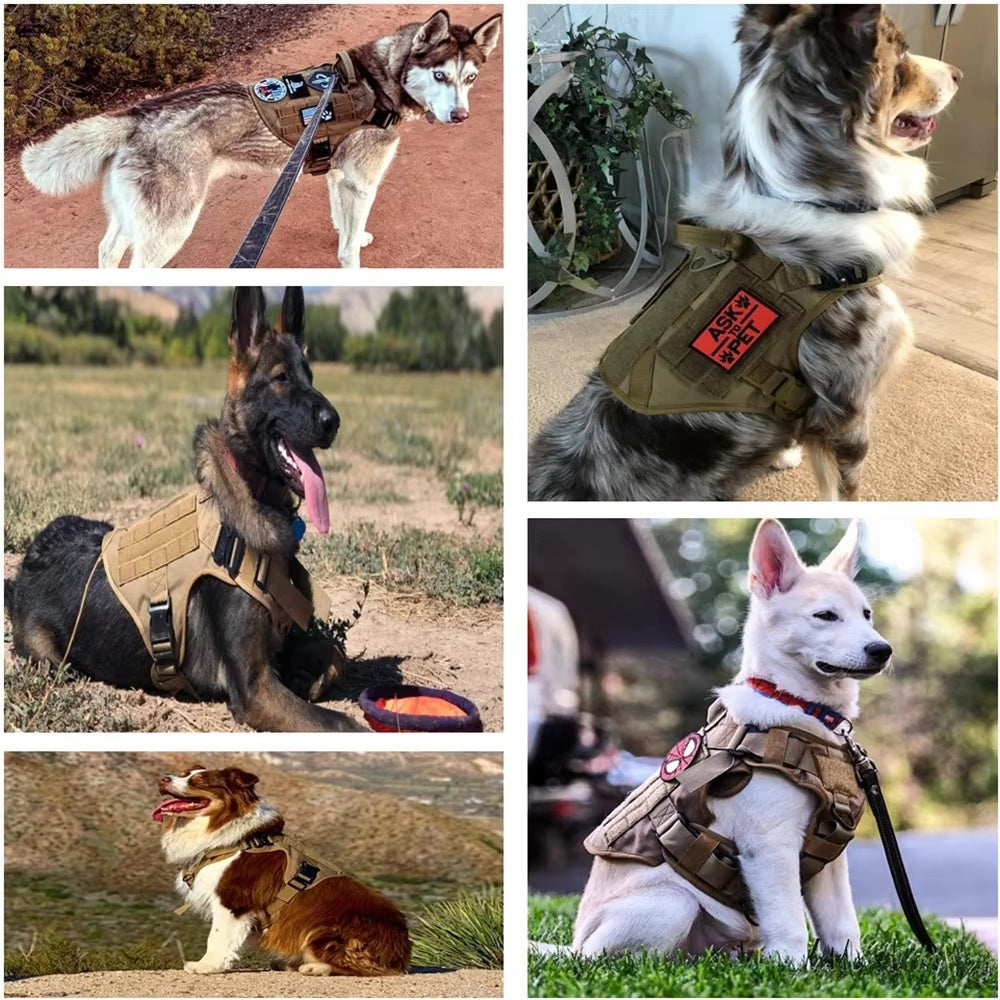 Pet Harness Luxury Dog Leash Set Chest Dog  Nylon Camouflage Dog Harness - Flufer Store
