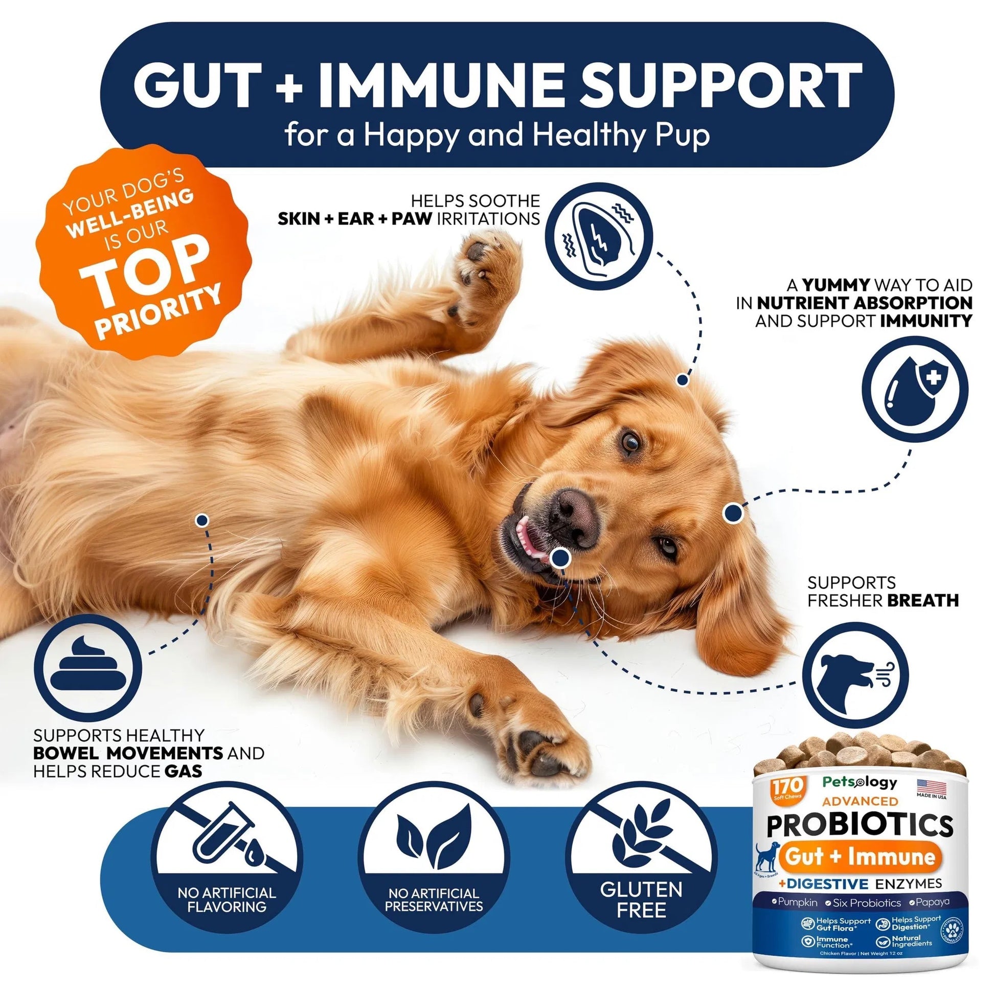 Probiotics for Dogs – 170 Soft Chews with Digestive Enzymes, Prebiotics & Yeast Support for Gut Health, Diarrhea, Gas, Constipation, Allergies & Itchy Skin Relief - Flufer Store