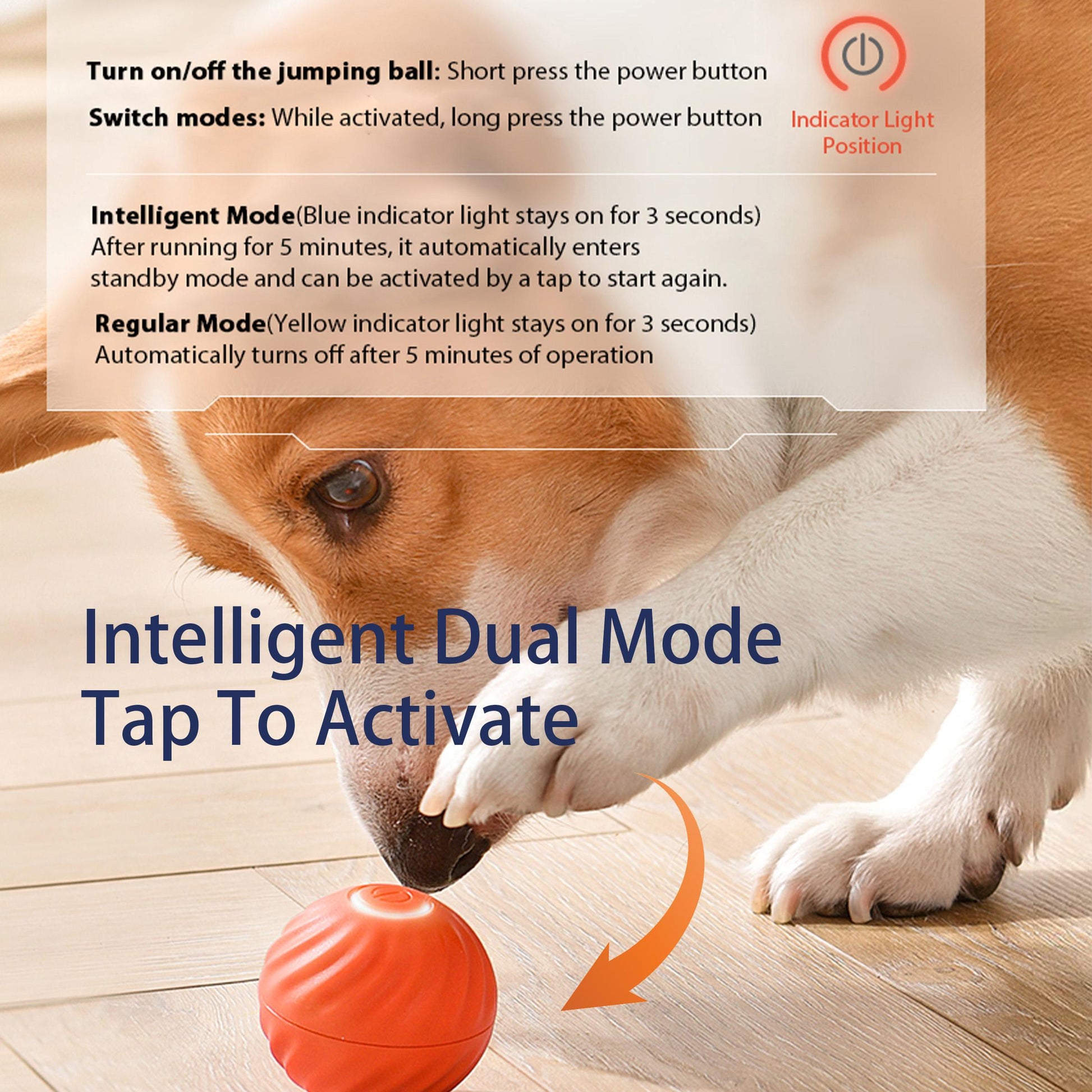Smart Self-Rolling Bouncy Ball for Dogs – Interactive Toy with Safe Materials & Motion Technology - Flufer Store