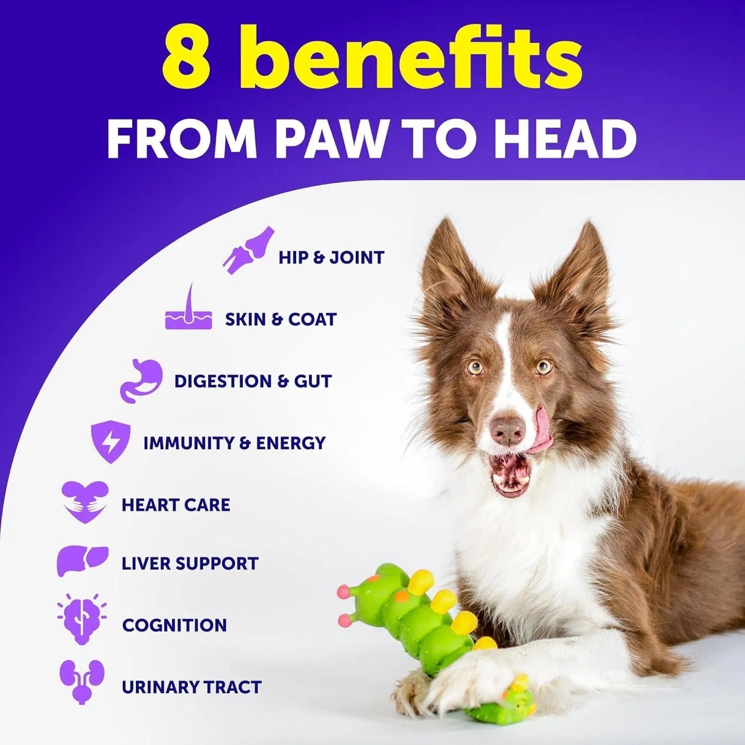 Do Not Sell On Amazon Dog Multivitamin Chewable With Glucosamine 20 In 1 Dog Vitamins And Supplements Senior & Puppy Multivitamin For Dogs Pet Joint Support Health Immunity Mobility Gut Skin 120 Chews - Flufer Store