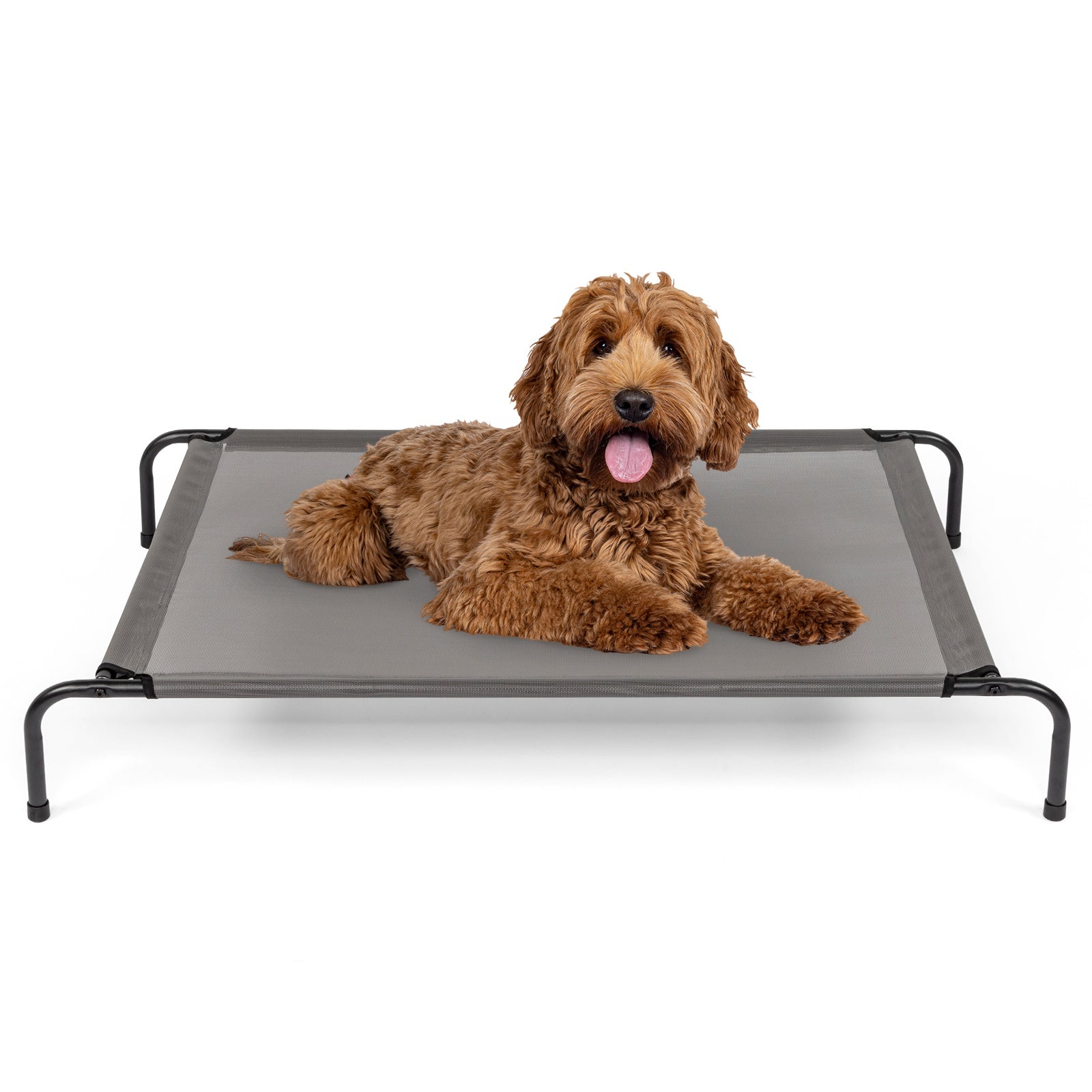 Elevated Dog Bed – Comfortable Pet Cot Raises Dogs 8” Off the Ground to Stay Cool, Dry & Clean Outdoors - Flufer Store