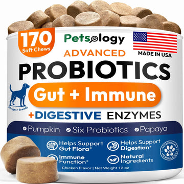 Probiotics for Dogs – 170 Soft Chews with Digestive Enzymes, Prebiotics & Yeast Support for Gut Health, Diarrhea, Gas, Constipation, Allergies & Itchy Skin Relief - Flufer Store