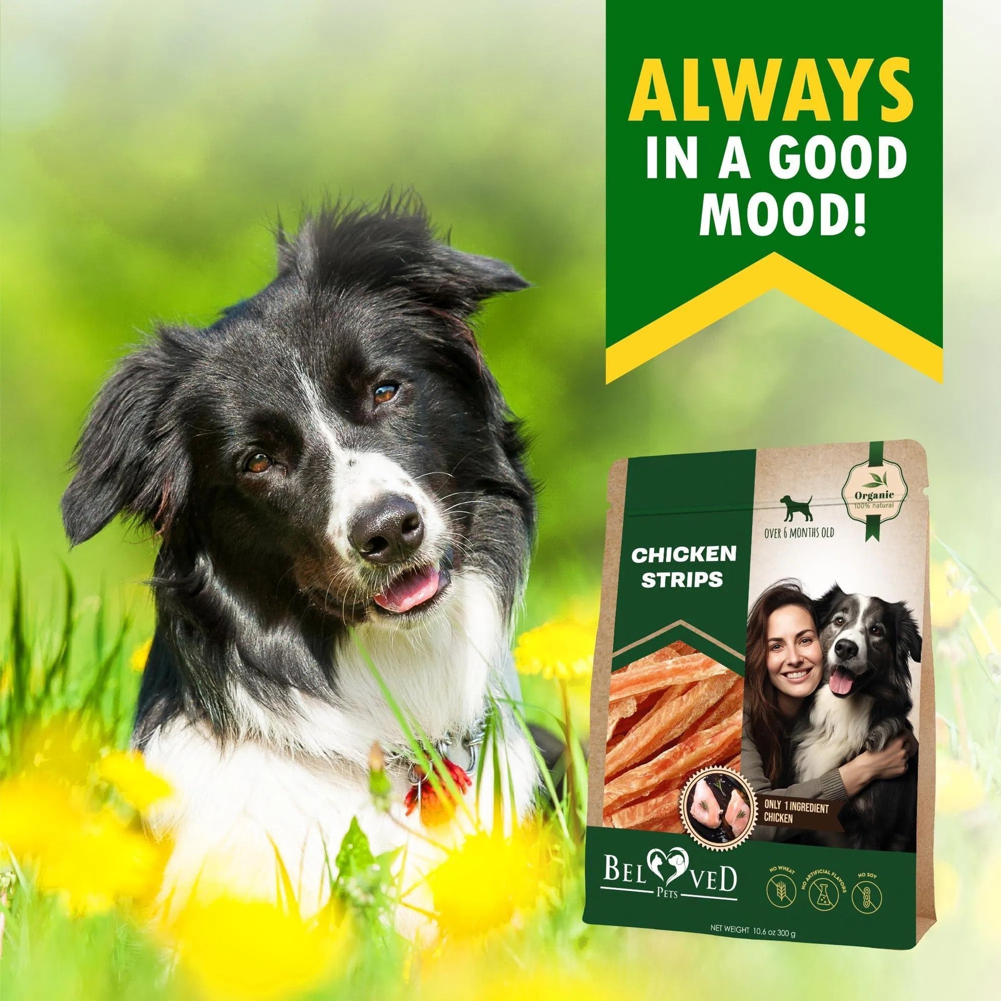 Chicken Strips Dog Treats Human Grade Meat Sticks Grain Free Chews 10.6 Oz - Flufer Store