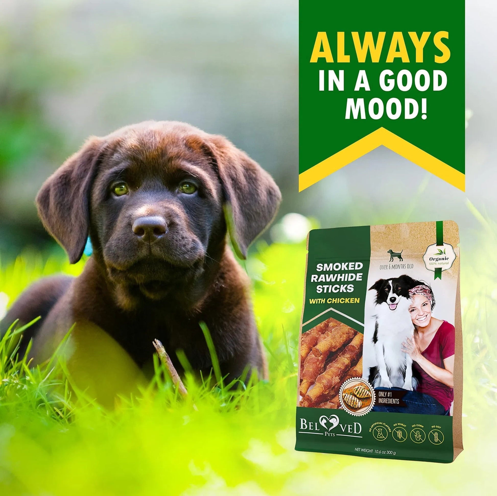 Dog Smoked Rawhide Sticks Wrapped Chicken Pet Natural Chew Treats Grain Free Organic Meat Healthy Human Grade Dried Snacks In Bulk - Flufer Store