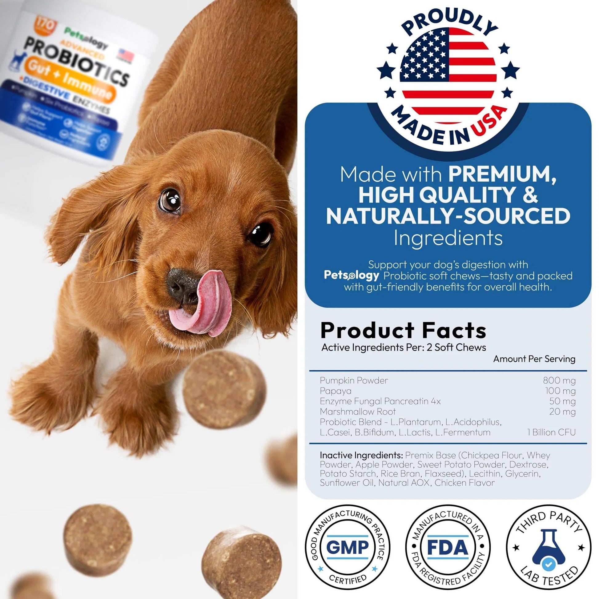 Probiotics for Dogs – 170 Soft Chews with Digestive Enzymes, Prebiotics & Yeast Support for Gut Health, Diarrhea, Gas, Constipation, Allergies & Itchy Skin Relief - Flufer Store