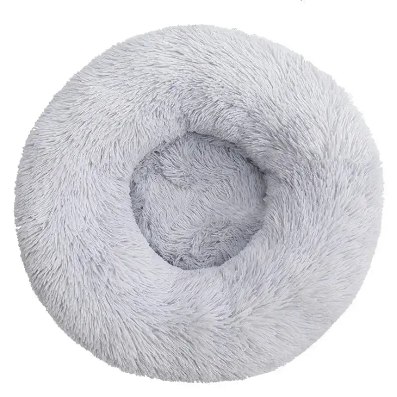 Orthopedic memory foam bed for dogs, one of the best pet beds available for comfort and support