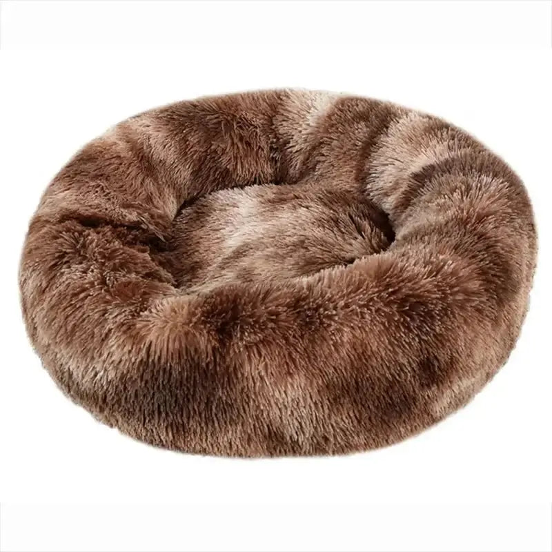 Orthopedic memory foam bed for dogs, one of the best pet beds available for comfort and support